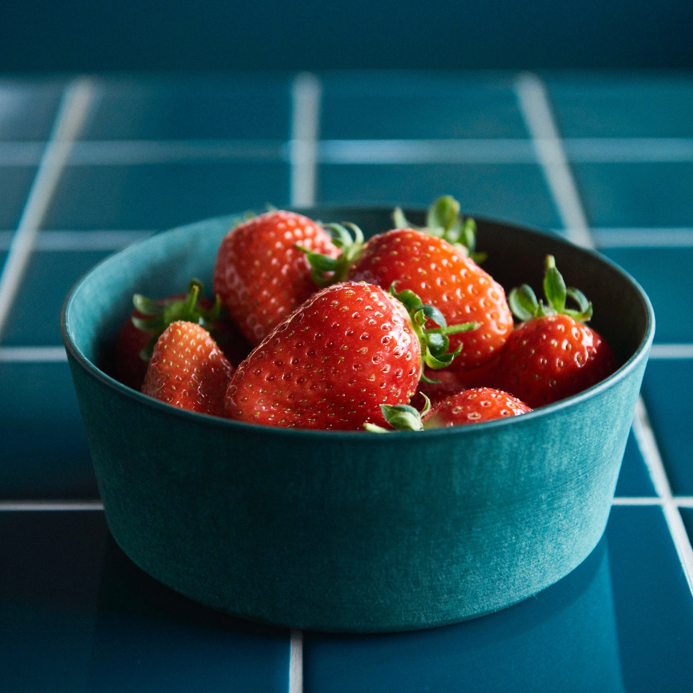 【配送・ご予約承り 11/8〜12/21】12025年 クリスマス限定BOX（6個セット）