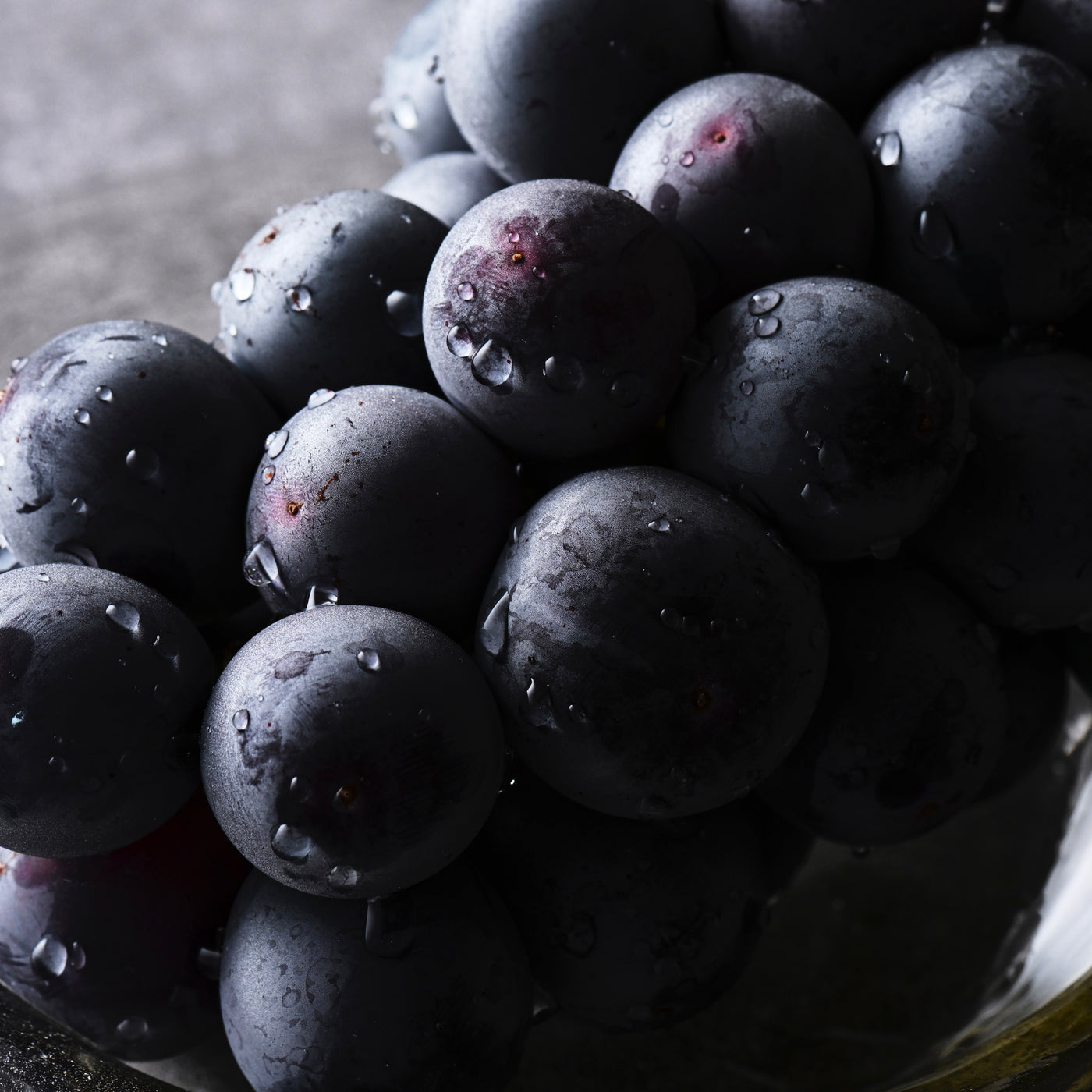 【配送・ご予約承り 11/7〜12/28】2025年 冬の贈り物・お歳暮 限定BOX（12個セット）