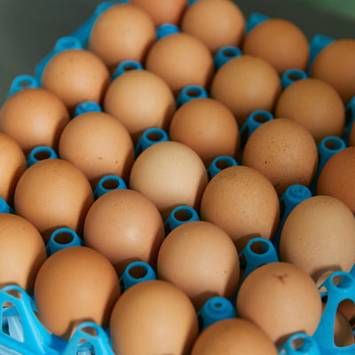 【配送・ご予約承り 11/7〜12/28】2025年 冬の贈り物・お歳暮 BOX（6個セット）