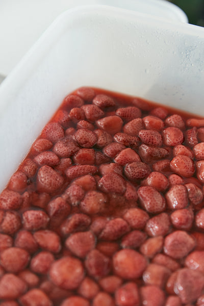 【配送・ご予約承り 11/7〜12/28】2025年 冬の贈り物・お歳暮 BOX（6個セット）