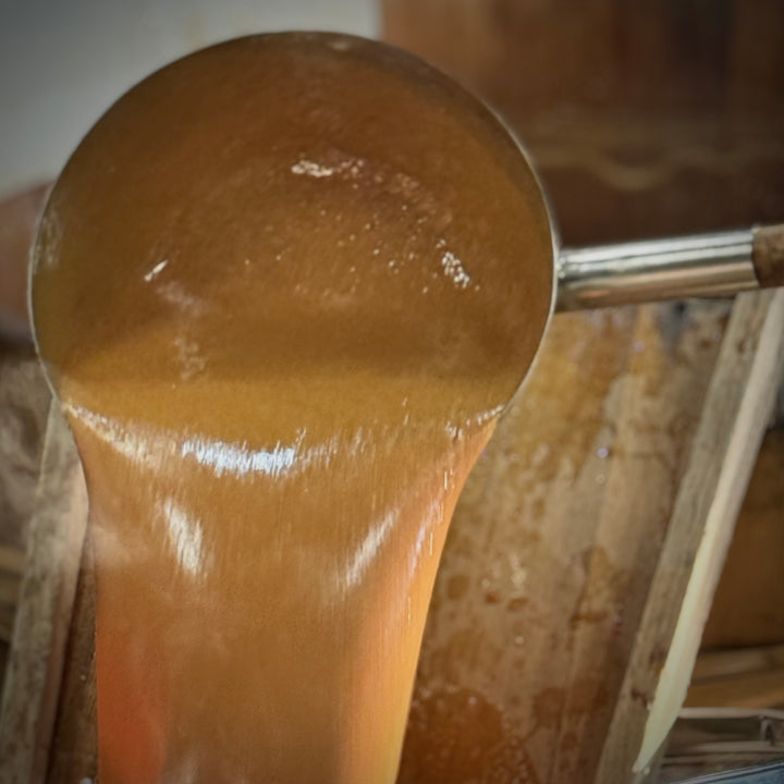 おすすめのフレーバー：YOSHIO BOX （6個セット） – YOSHIO ICE CREAM