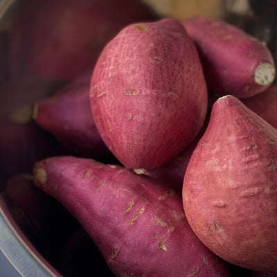 【配送・ご予約承り 11/7〜12/28】2025年 冬の贈り物・お歳暮 限定BOX（12個セット）